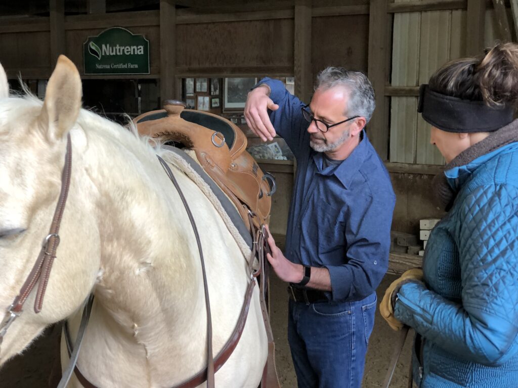 Large white horse , waring a western type of ridding saddle, receiving an energy treatment form James at a Barn in Connecticut.